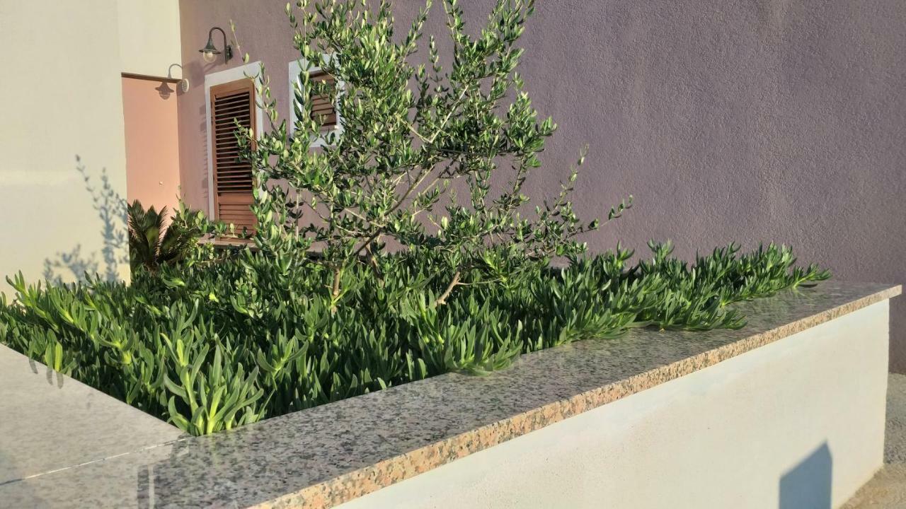 Amaryllis Residence, Apartment Diana & Deluxe Rooms With Shared Kitchen Veli Lošinj Exteriör bild